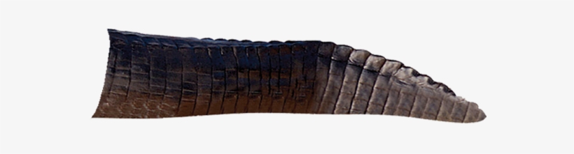 Alligator Rear - Cushion, transparent png