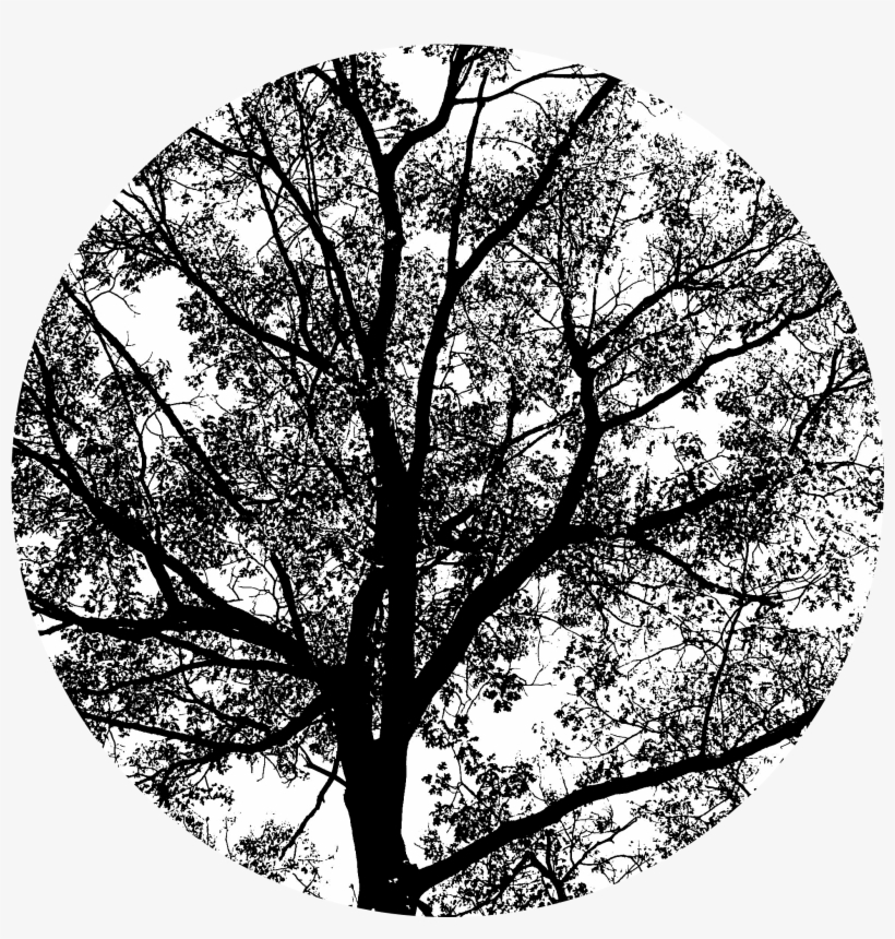 Spring Oak Tree Png - Frühlings-eichen-grün-natur-szene Mauspads, transparent png