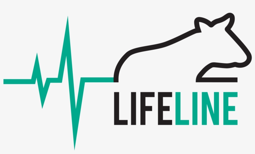 Logo - October Offline, transparent png