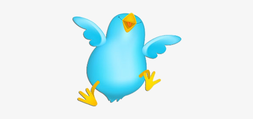 Early Bird Discount - Twitter Icons, transparent png