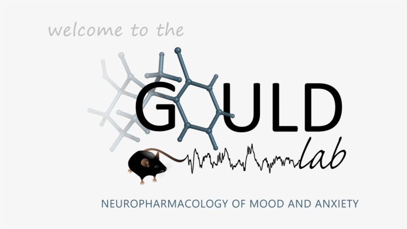 University Of Maryland School Of Medicine - Maryland, transparent png
