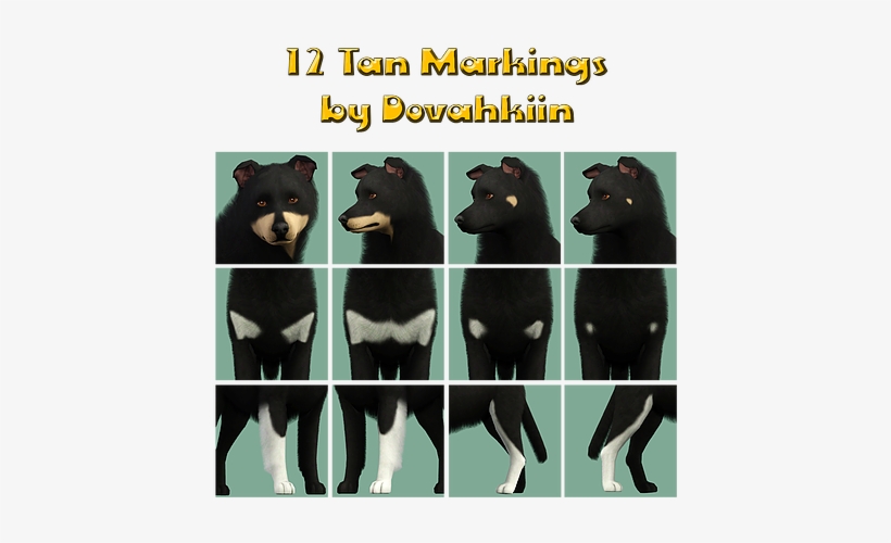 Tan Points Marking Set By Dovahkiin Kennel - Dog, transparent png