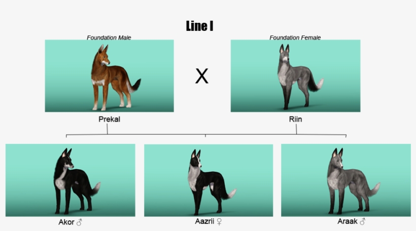 Well, Here Are The Parental Generations - Sims 4 Hunde Züchten, transparent png