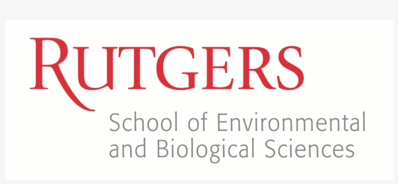 Rutgers - Rutgers University The State University Of New Jersey, transparent png
