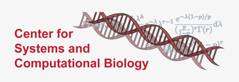 Introduction And Research Interests - New Jersey, transparent png