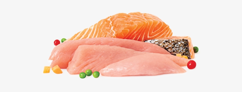 A Selection Of The Raw Ingredients - Raw Chicken & Salmon, transparent png