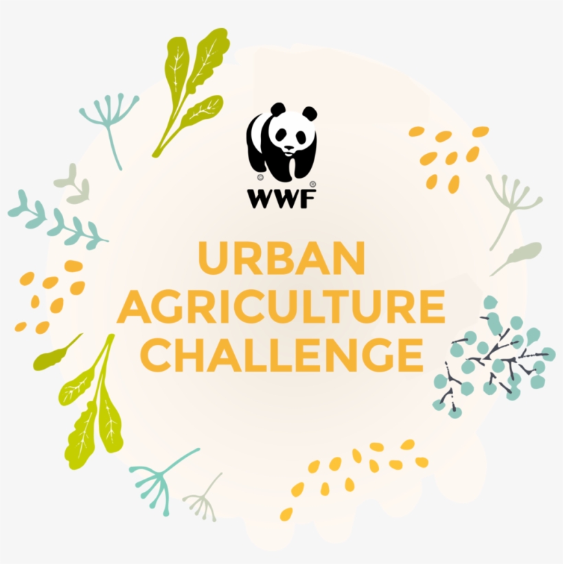Wwf Foodhack2017 Challenge - World Wildlife Foundation Logo Shirt, transparent png