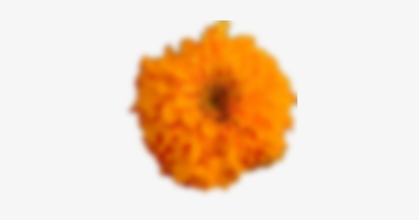 Music, transparent png