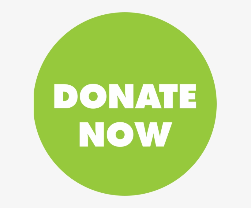 The Rock C4yd Center For Youth Development Donate Now - Twitch Alerts Gif Sub, transparent png