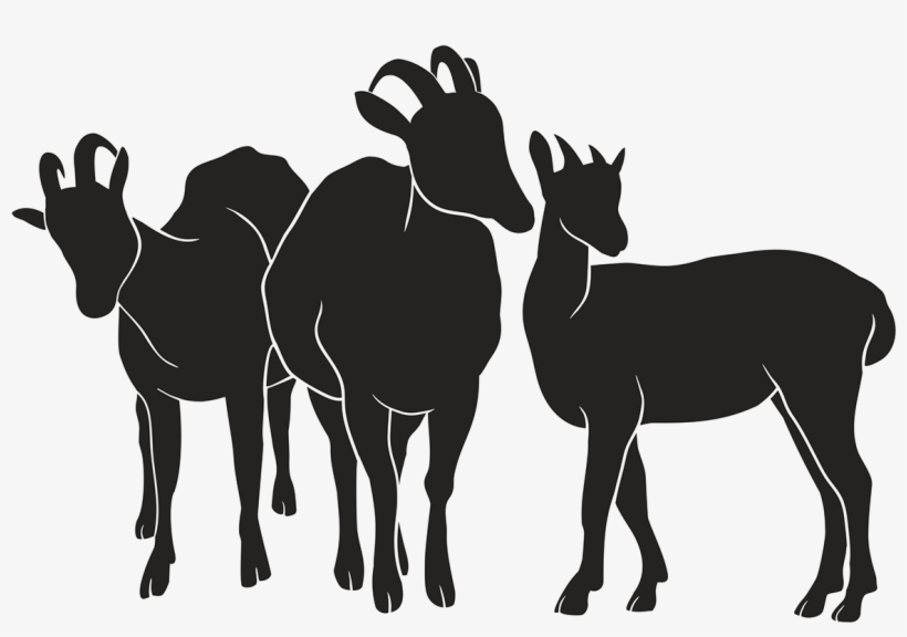 Goat, transparent png