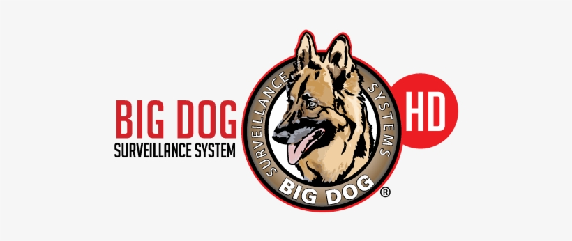 Big Dog Hd Surveillance Systems For The Restaurant - Rhythm Masters I Feel Love, transparent png