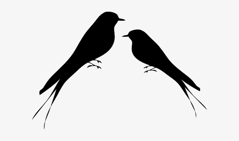 Png Black And White Love Bird, transparent png