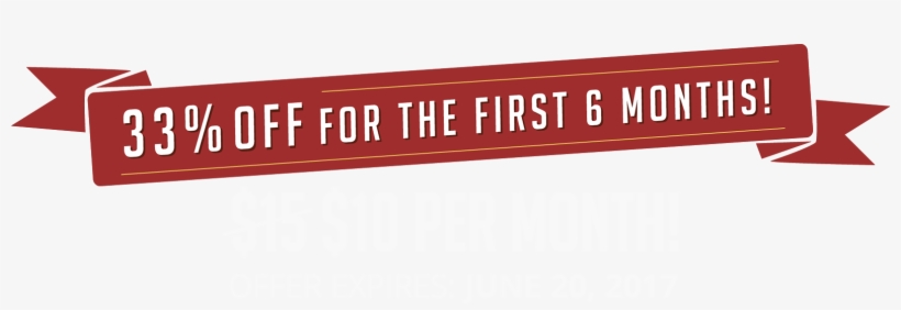 $10 Per Month - Banner 480x60, transparent png