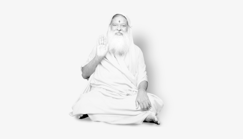 Our Pinnacle, Our Inspiration - Reflections Of The Absolute: The Life Of Sri Ganapathy, transparent png
