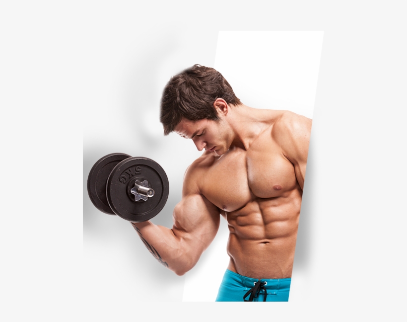 Welcome Img - Occlusion Training Bands By Bfr Bands, Pro Model, 2, transparent png