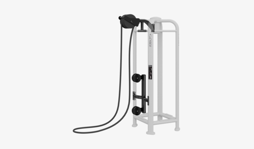 Download Physical Fitness Clipart Cybex International - Physical Fitness, transparent png