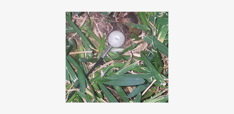 Spike In The Ground Headstone - Artificial Turf, transparent png