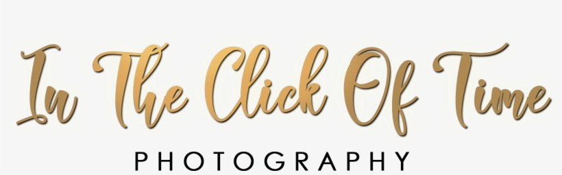 In The Click Of Time Photography - Calligraphy, transparent png