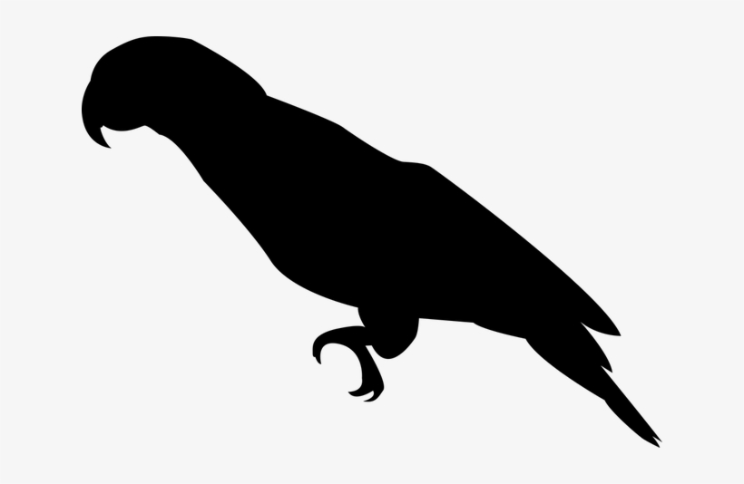 Parrot-1394537 640 - Silhueta Papagaio, transparent png