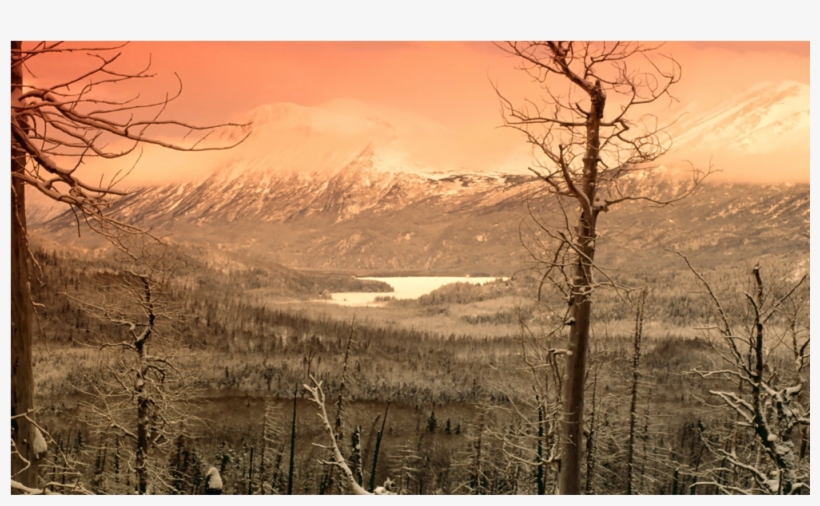 Score 50%, transparent png