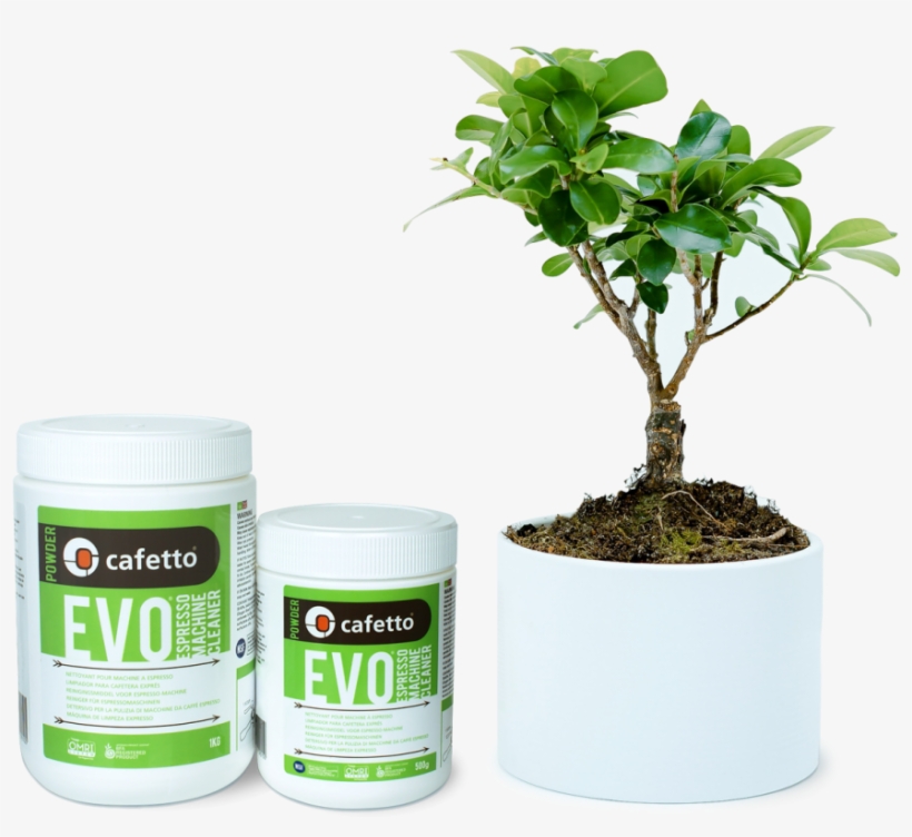 Powder And Tree - Cafetto Espresso Clean 1kg, transparent png
