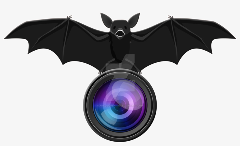 28 Collection Of Photography Logo Clipart Png High - Econoled Color Cmos Ccd Flush Mount Waterproof Truck, transparent png