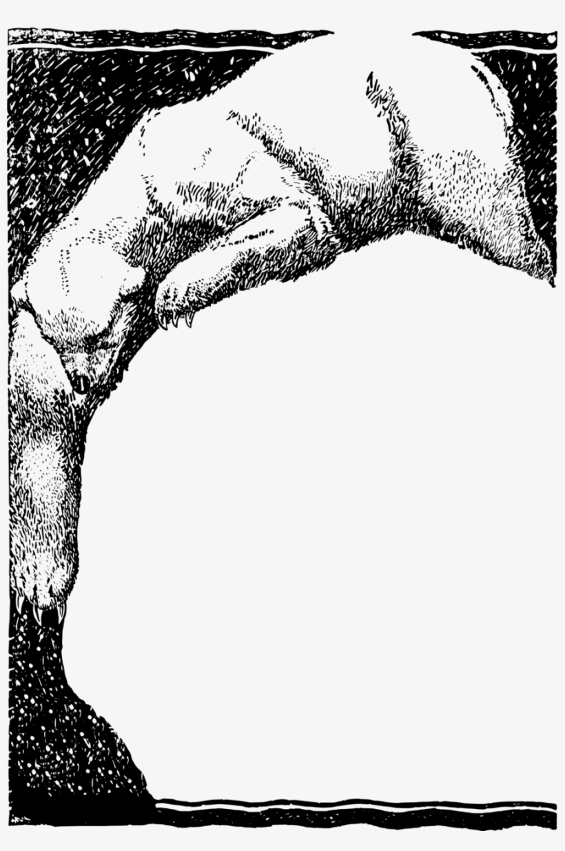 Monochrome Photography Clipart Polar Bear Clip Art - Visual Arts, transparent png