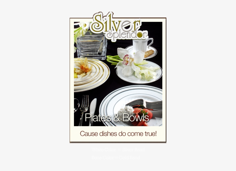 Silver Splendor Disposable Plates & Bowls - 375 Pieces Plastic China Plate Silverware Combo Like, transparent png