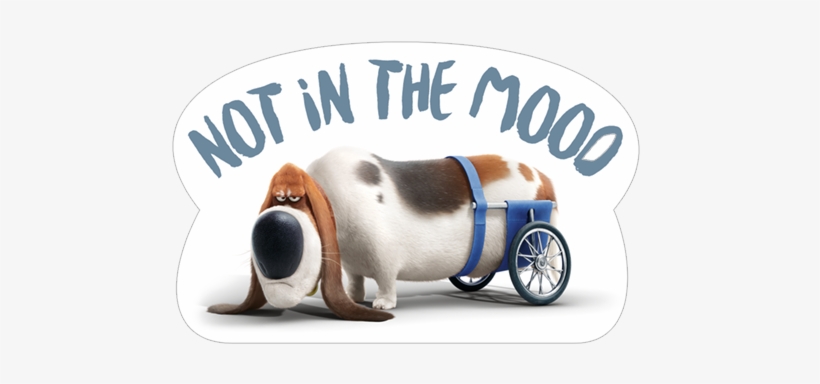 不在mooo - Secret Life Of Pets Dog With Wheels, transparent png