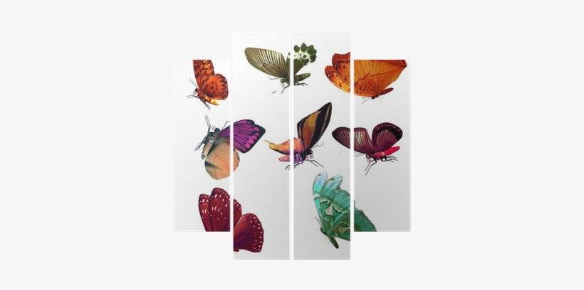 Wall, transparent png