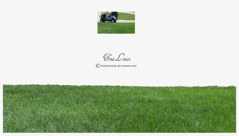 Adobe Illustrator Cs6, Free Stock Image, Grasses, Adobe - Lawn, transparent png