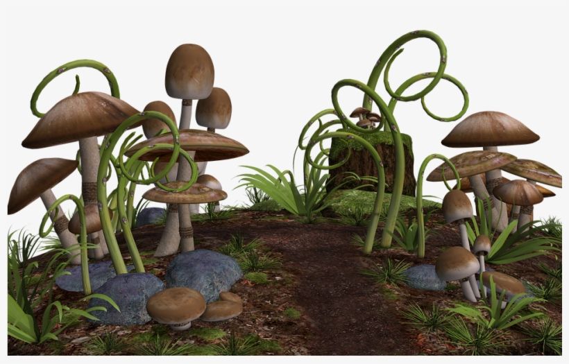 Mushrooms 3d, transparent png