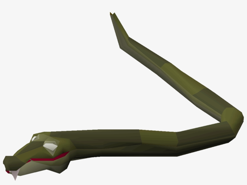 Snake - Philothamnus Semivariegatus, transparent png