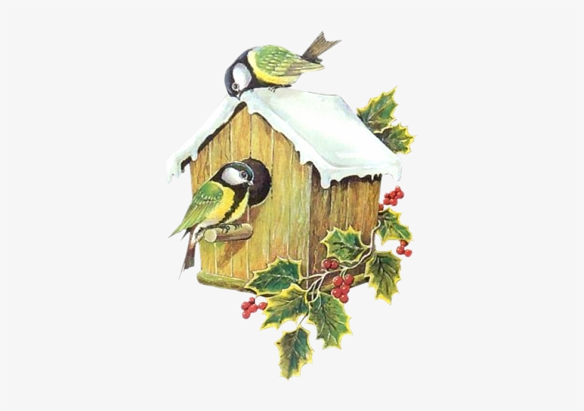 A Feedback Would Be Very Nice - Bird In House Winter Clipart, transparent png