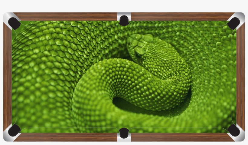 Green Snake Custom Made Printed Pool Snooker Billiard - Reptile Anatomy Books, transparent png