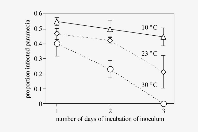 Infection Success After 1 3 Days Of Incubation Of Infectious - Diagram, transparent png