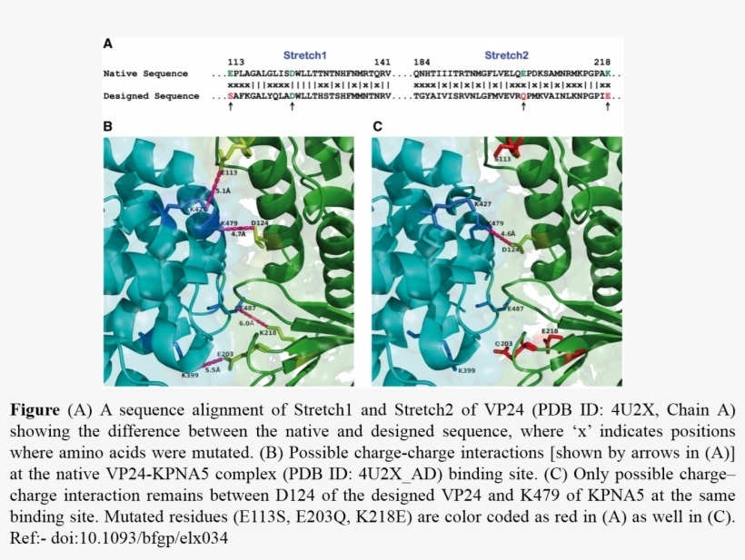 Therefore, We Proposed A Protein Interaction And Protein - Graphic Design, transparent png