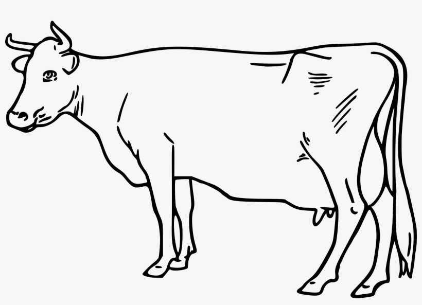 This Free Icons Png Design Of Cow 4, transparent png