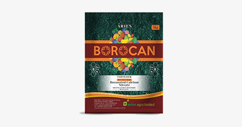 Borocan - Graphic Design, transparent png