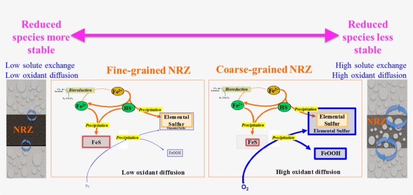 Noël V, Boye K, Kukkadapu Rk, Bone Se, Lezama Pacheco - Diagram, transparent png
