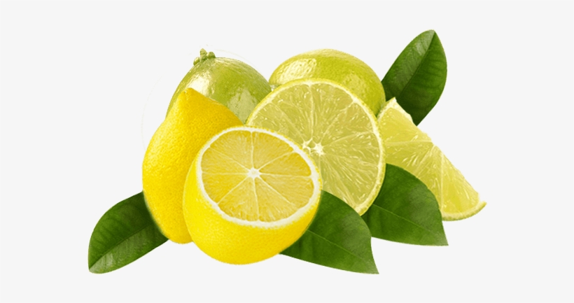 It Has Anti Fungal And Anti Septic Properties, Which - Persian Lime, transparent png