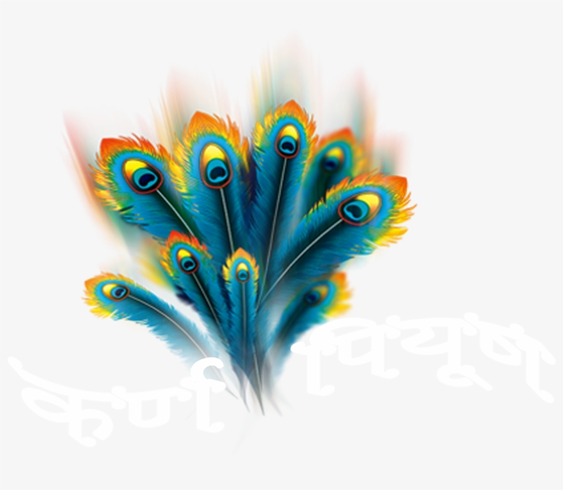 Krishanpreet Com Logo - Peacock Feather Png, transparent png