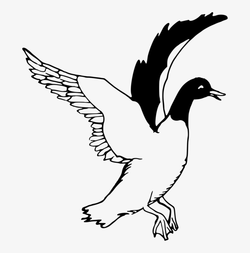 Duck Goose Drawing Line Art Black And White - Free Clipart Black And White Swans, transparent png