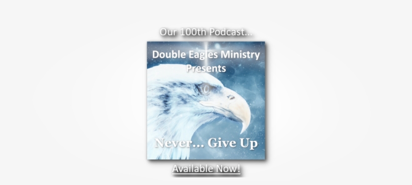 Whimsical Eagle Jacks Outlet School Backpack, Black, transparent png