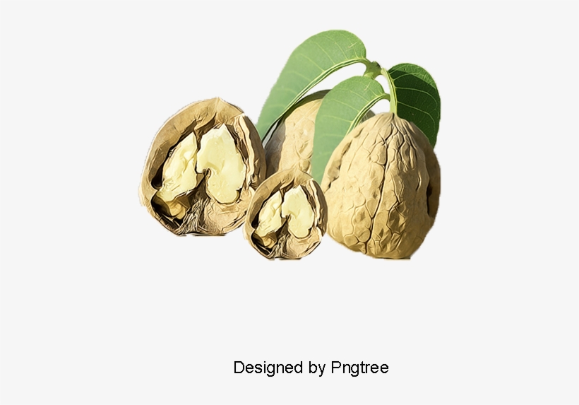 Nuts Walnut, Dried Fruit Snacks, Walnut, Nut Png And - Nut, transparent png