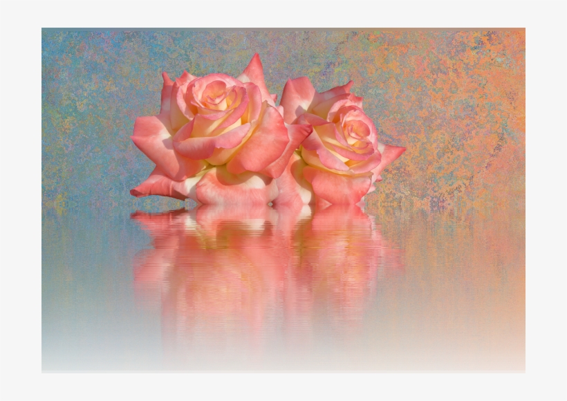 Color Palette Ideas From Flower Garden Roses Pink Image - Cafepress ! Samsung Galaxy S8 Plus Case, transparent png