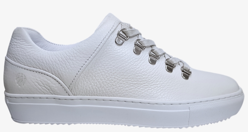 Ladies Shoe - Kelty - Skate Shoe, transparent png