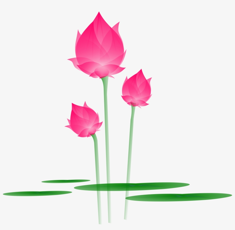 Free Download Catoon Lotus Bud Png Clipart Sacred Lotus, transparent png