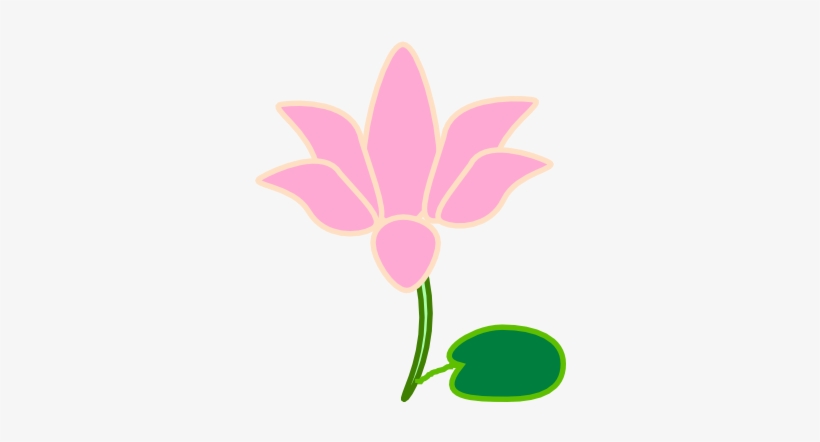 Lotus Png - Cattleya, transparent png
