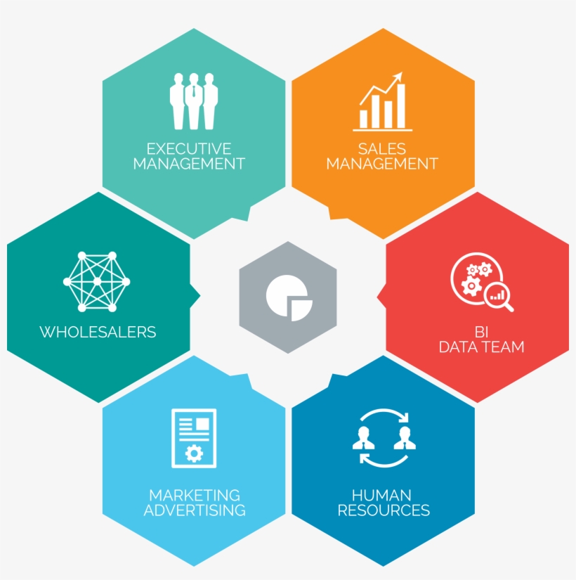 Infographic Market Share And Productivity - Mirth Connect, transparent png